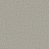 Camira Synegy LDS08.jpg